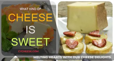 Sweet Cheeses: Exploring the World of Sugary Dairy