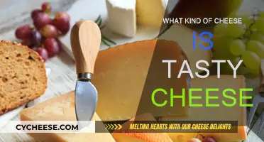 Tasty Cheese: What Makes a Delicious Cheese?