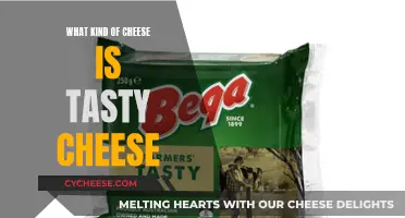 Tasty Cheese: Exploring the World of Flavorful Cheeses