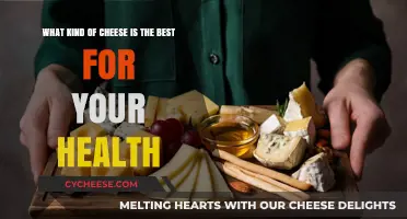 Unraveling the Best Cheeses for Optimal Health