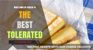 The Ultimate Guide to the Most Tolerable Cheeses