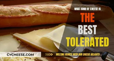 Cheese Intolerance: Which Varieties Are Gentlest on the Gut?