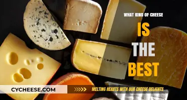 The Ultimate Guide to the Best Cheeses