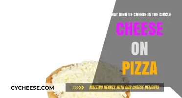 Unveiling the Mystery: Circle Pizza's Unique Cheese Blend