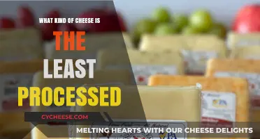 Unprocessed Cheese: Exploring the Least Processed Varieties