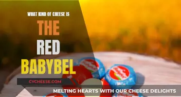 Exploring the Cheese: Red Babybel's Unique Flavor