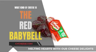 The Mystery of Red Babybell: What Cheese is it?