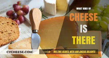 Exploring the World of Cheeses: A Tasty Adventure