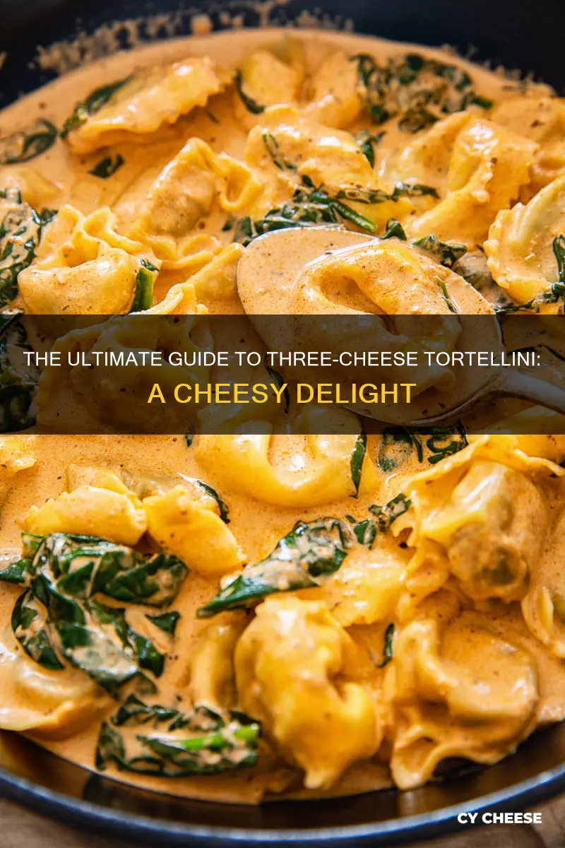 what kind of cheese is three cheese tortellini stuffed with