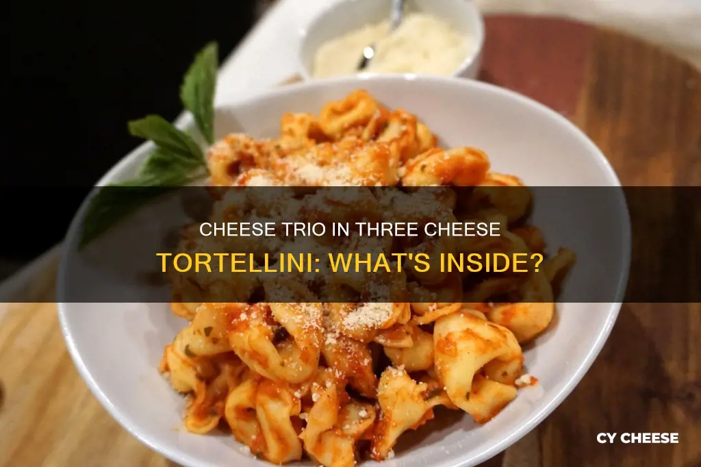 what kind of cheese is three cheese tortellini stuffed with
