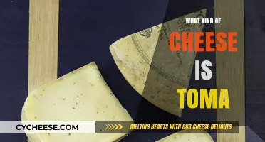 Exploring Toma's Cheesy Identity: A Flavorful Adventure