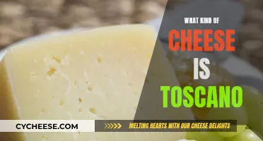 Toscano Cheese: A Comprehensive Guide to Its Unique Flavor