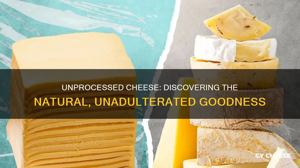 what kind of cheese is unprocessed