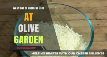 Cheese Secrets of Olive Garden Revealed