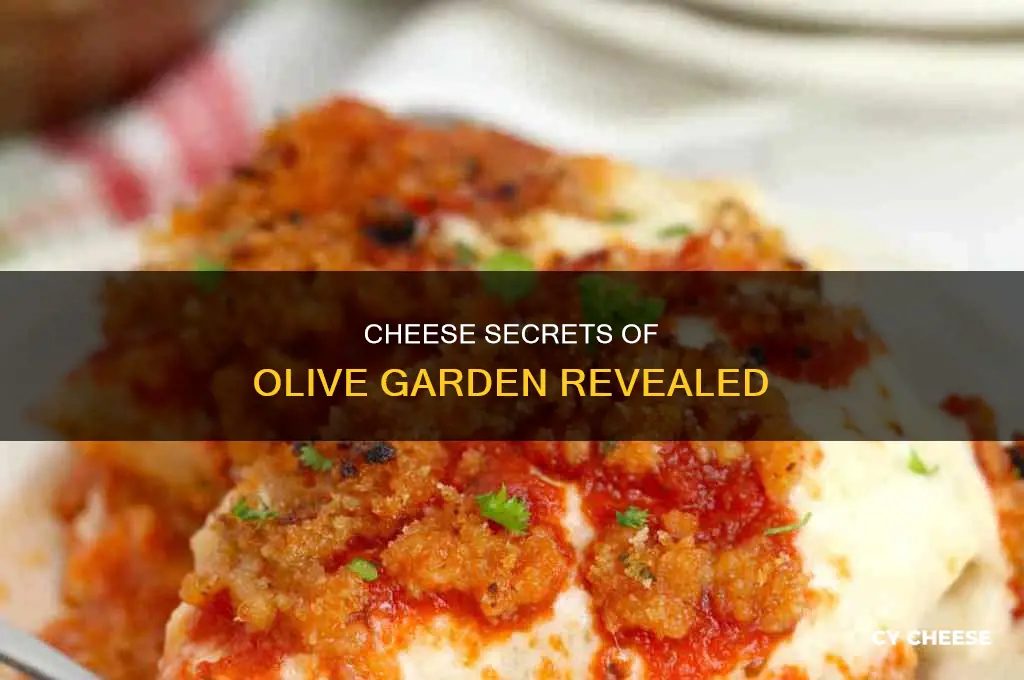 what kind of cheese is used at olive garden