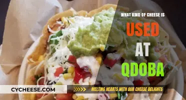 Cheese Choices: Qdoba's Top Picks Explored