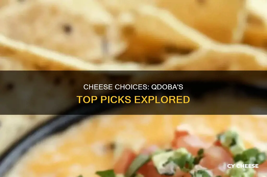 what kind of cheese is used at qdoba