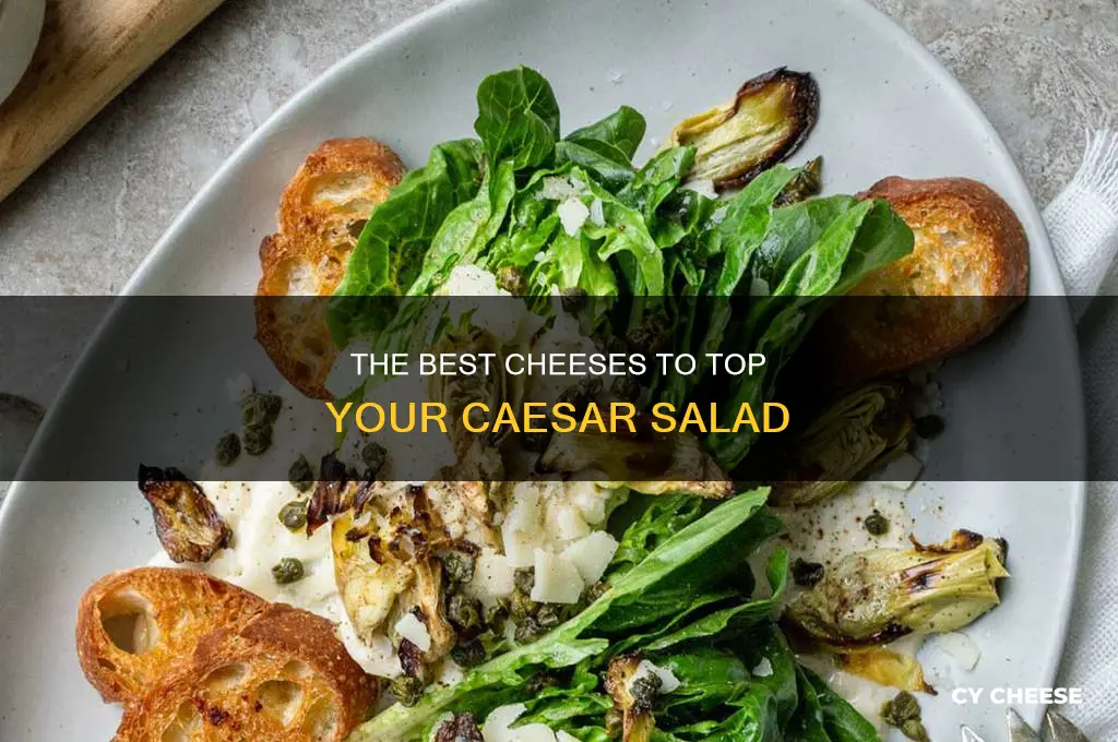 what kind of cheese is used for caesar salad