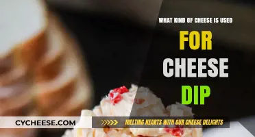 Cheese Dip: What's the Best Cheese to Use?