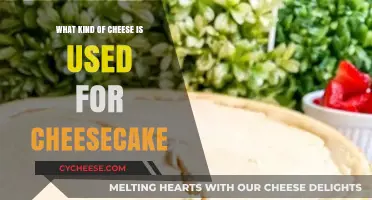 Cheese for Cheesecake: The Creamy, Dreamy Kind