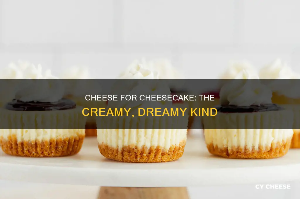 what kind of cheese is used for cheesecake