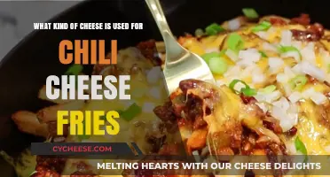 Cheese for Chili Cheese Fries: The Ultimate Guide