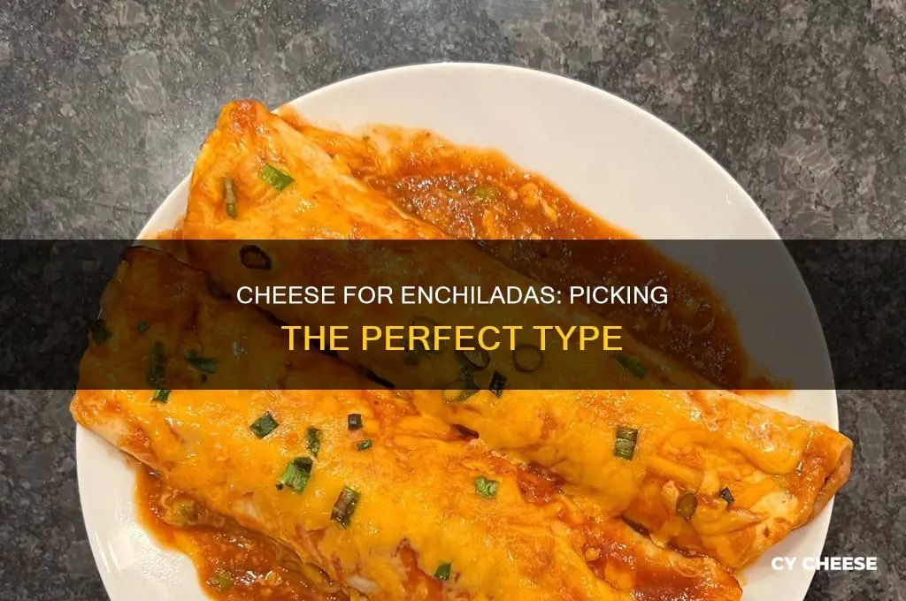 what kind of cheese is used for enchiladas