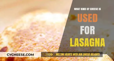 Lasagna Cheese: Mozzarella, Parmesan, and More!