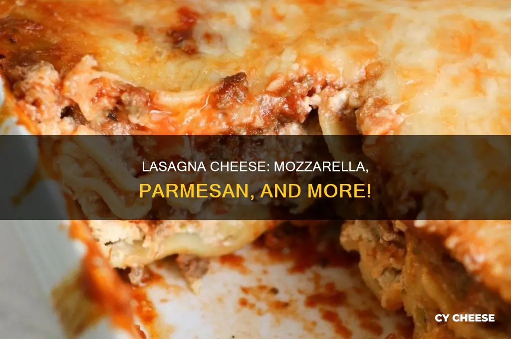 what kind of cheese is used for lasagna