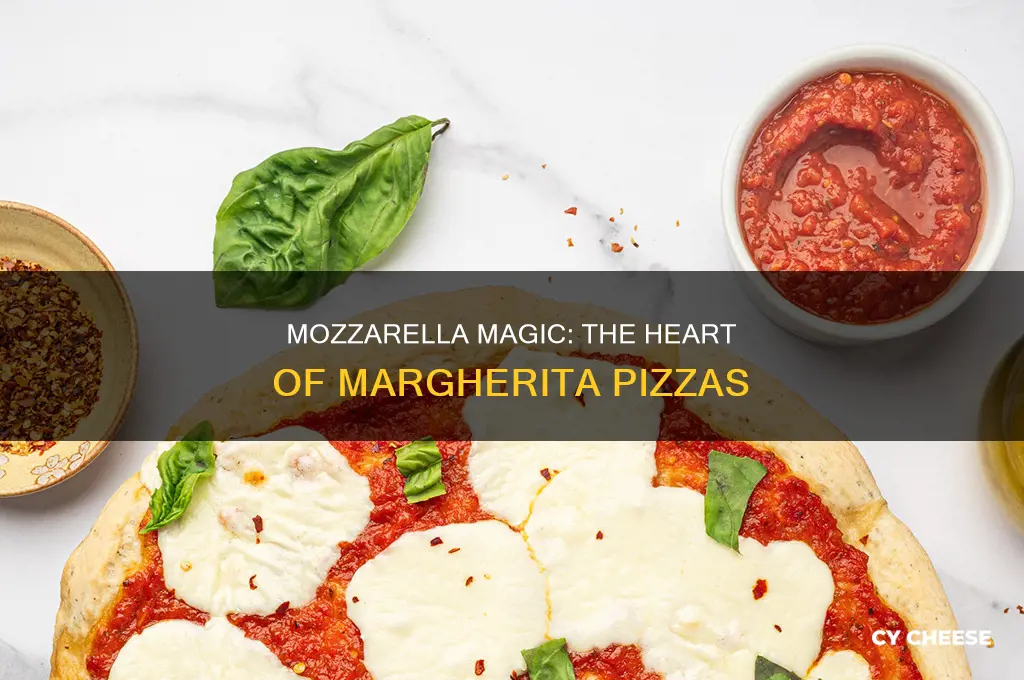 what kind of cheese is used for margherita pizza