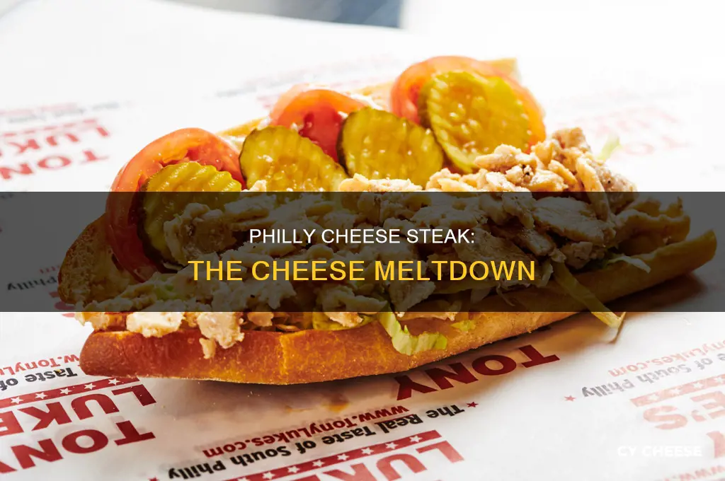 what kind of cheese is used for philly cheese steak