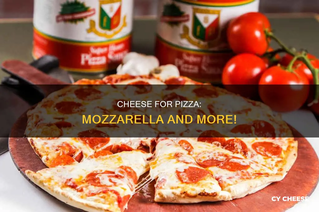 what kind of cheese is used for pizza