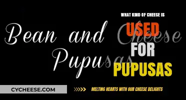 Cheese Choices for Pupusas: A Guide