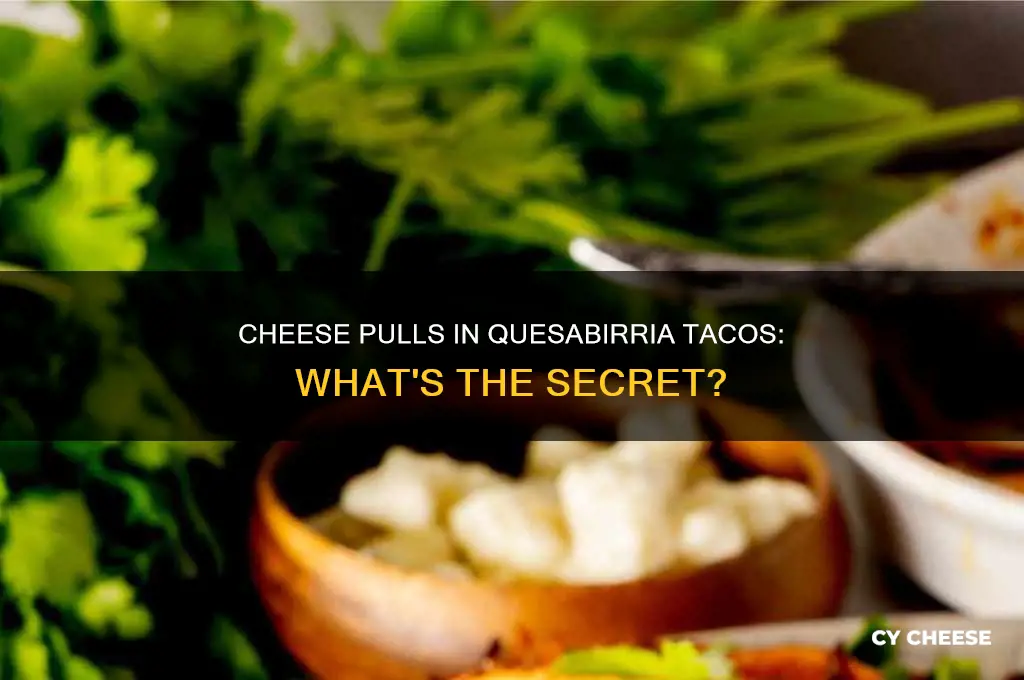 what kind of cheese is used for quesabirria tacos