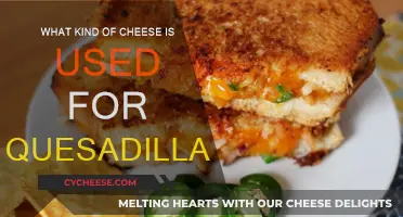 Cheese for Quesadillas: Picking the Perfect Type