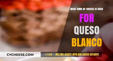 Best Cheeses for Making Delicious Queso Blanco