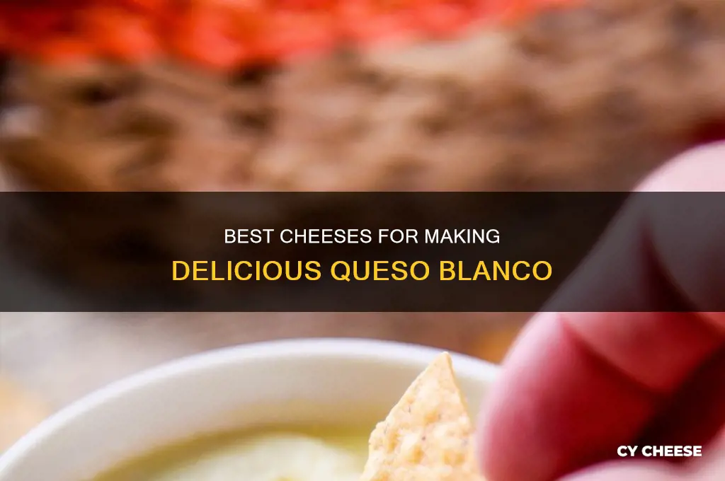 what kind of cheese is used for queso blanco