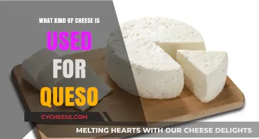 Cheese for Queso: Picking the Perfect Melt
