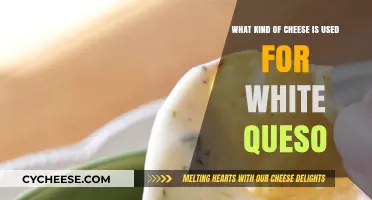 White Queso: What Cheeses Make it Delicious?