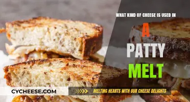 Cheese Choices for the Perfect Patty Melt