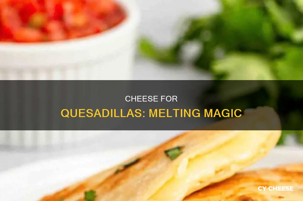 what kind of cheese is used in a quesadilla