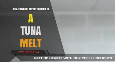 Cheese Options for a Classic Tuna Melt
