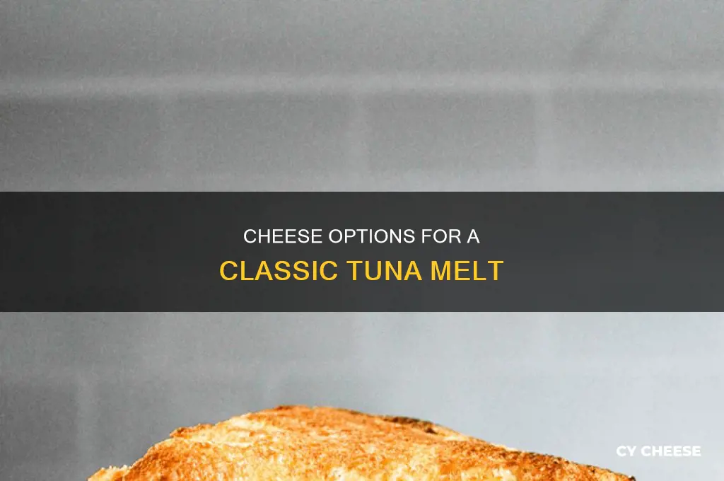 what kind of cheese is used in a tuna melt