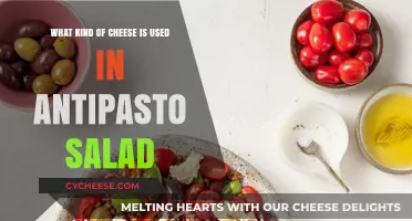 Cheese Choices for Antipasto Salads