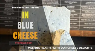 Blue Cheese: What's the Secret Ingredient?