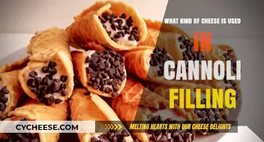 Cheese in Cannoli: The Ultimate Filling Guide