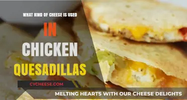 Cheese for Chicken Quesadillas: The Best Options