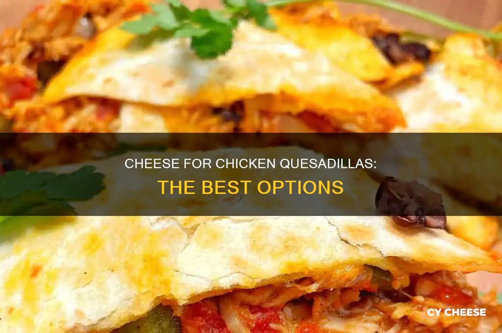 what kind of cheese is used in chicken quesadillas