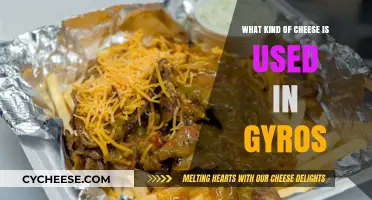 Gyros: What Cheeses Make This Dish Delicious?