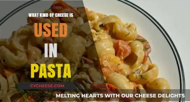 Cheese and Pasta: The Perfect Pairing